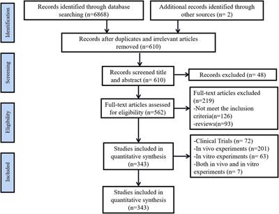 Roles and mechanisms of garlic and its extracts on atherosclerosis: A review